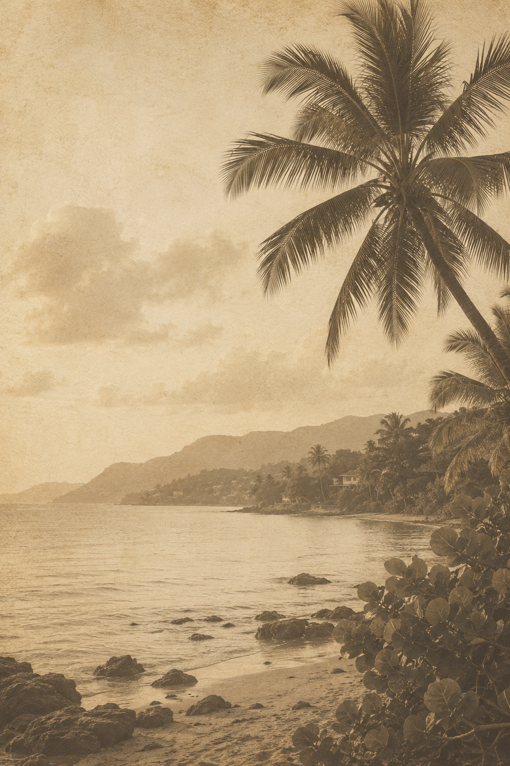 Richard Gonsalves' Photos of Peter